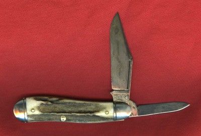 dogleg stag001.jpg