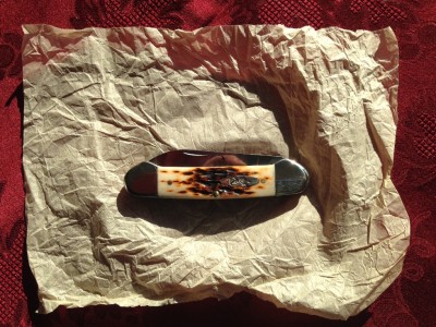 Case canoe a.JPG