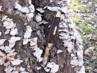Camillus Cigar Jack on the trail.JPG