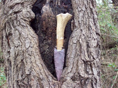Primitive up a tree.JPG