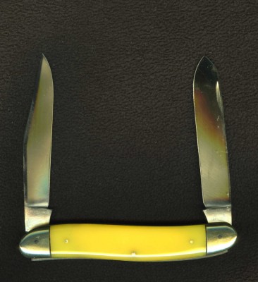 yellow moose002.jpg