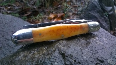 WP_20181226_011.jpg
