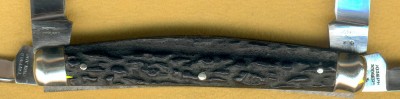 J. RodgersBlackStagCong2.jpg