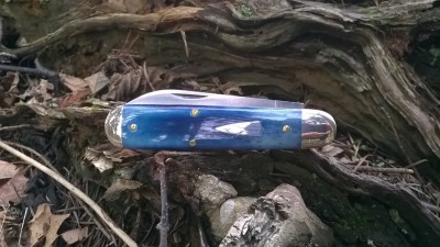 WP_20180324_029.jpg