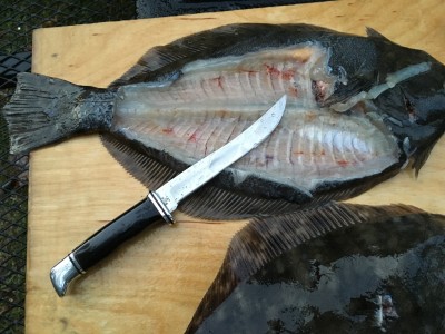 Buck 121 - Flounder.jpg