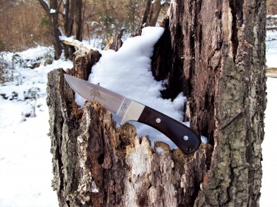 Arapajo on the winter trail.JPG