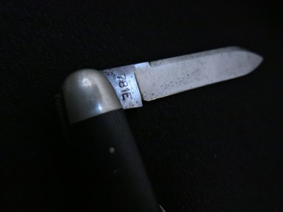 DSCN5523.JPG