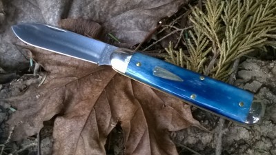 WP_20190117_032.jpg
