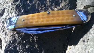 WP_20190116_073.jpg
