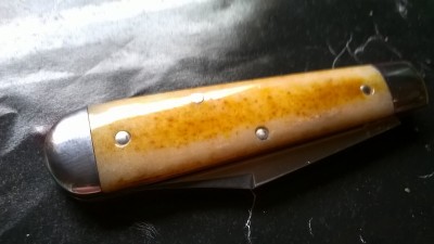 WP_20190121_014.jpg