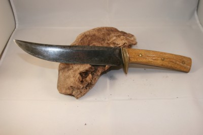 scagel3.jpg