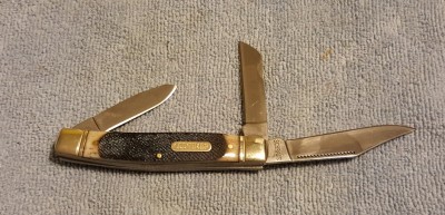 old timer saw cut bone.jpg