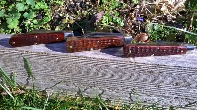 WP_20170131_005.jpg
