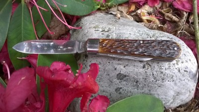 WP_20180612_057.jpg