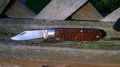 WP_20161121_003.jpg