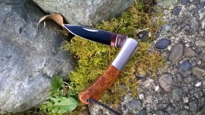 WP_20190128_011.jpg