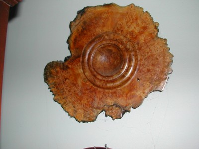 broad leaf maple burl. Wall hanging.