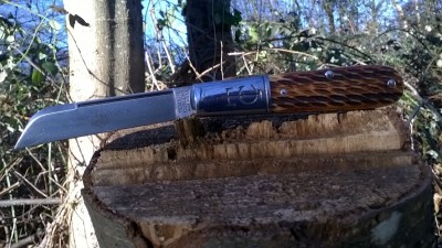 WP_20190129_038.jpg