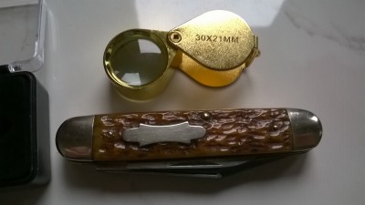 WP_20190201_002.jpg