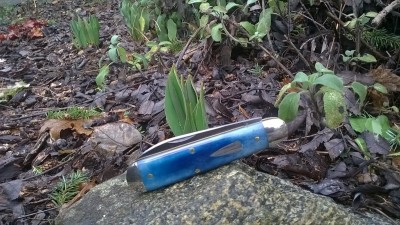 WP_20190202_024.jpg