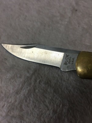 buck055 2.jpg