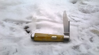 WP_20190204_012.jpg