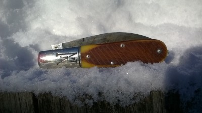 WP_20190205_012.jpg