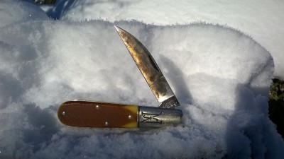 WP_20190205_003.jpg