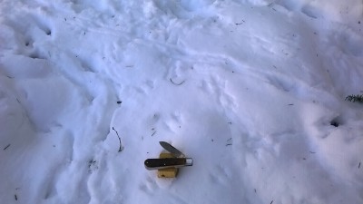 WP_20190206_021.jpg