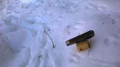 WP_20190206_025.jpg
