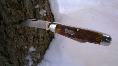 WP_20190209_027.jpg