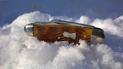 WP_20190209_005.jpg