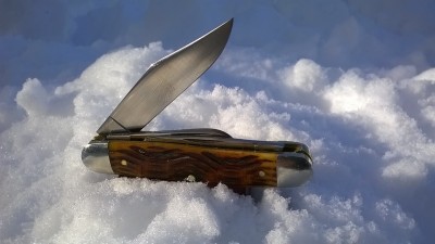WP_20190209_012.jpg