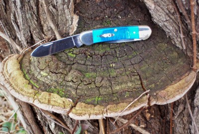 Caribbean Blue Canoe on the trail.JPG
