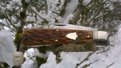 WP_20190210_046.jpg