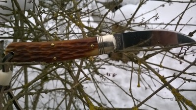 WP_20190210_034.jpg