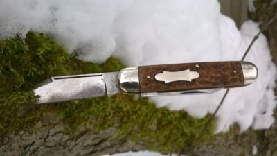 WP_20190211_026.jpg