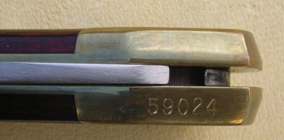 IMGP6112.JPG
