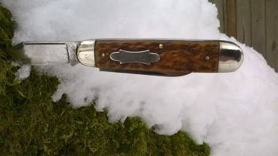 WP_20190211_030.jpg