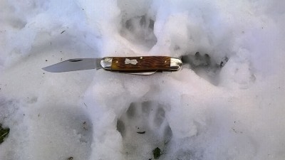 WP_20190213_008.jpg
