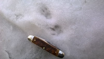 WP_20190213_012.jpg