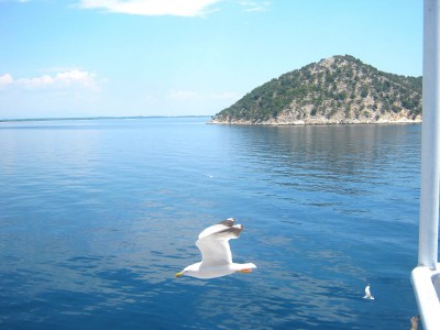 IMG_5650.JPG