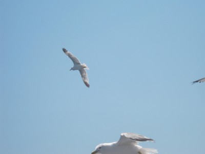 IMG_5636.JPG