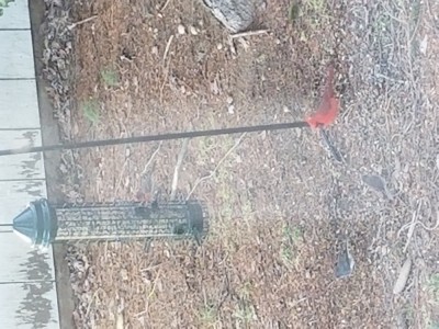 20190127_091803.jpg