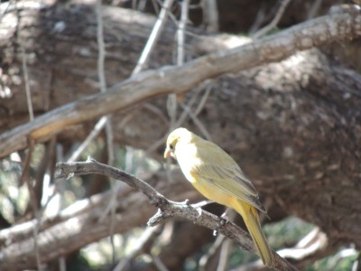 DSCN1585.JPG