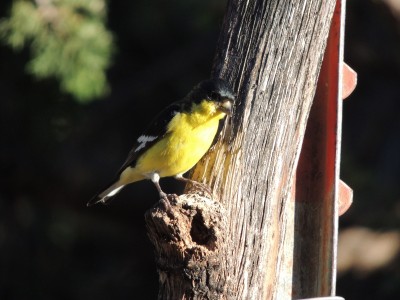 DSCN1628.JPG