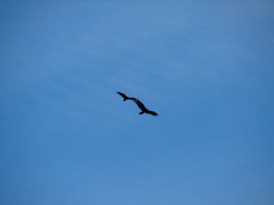 IMG_8060.JPG