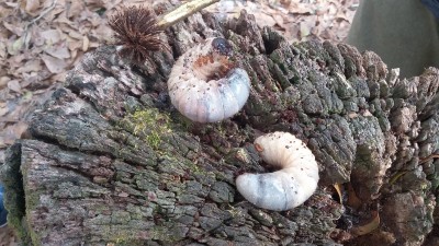 20190217_135719.jpg