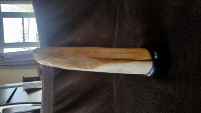 20190219_091755.jpg