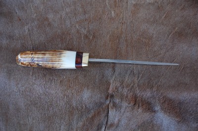 382 hippo tooth peter maynard 003.JPG